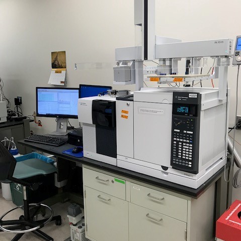 Agilent 7000D GC Triple Quadrupole MS