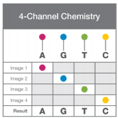 MiSeq dyes